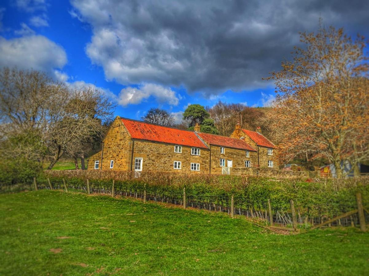 Park House Acomodação com café da manhã Ingleby Arncliffe Exterior foto